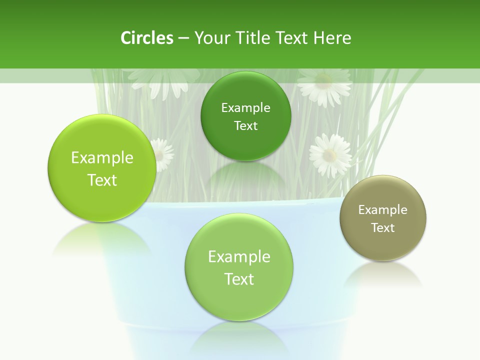 Garden Daisy Potted PowerPoint Template