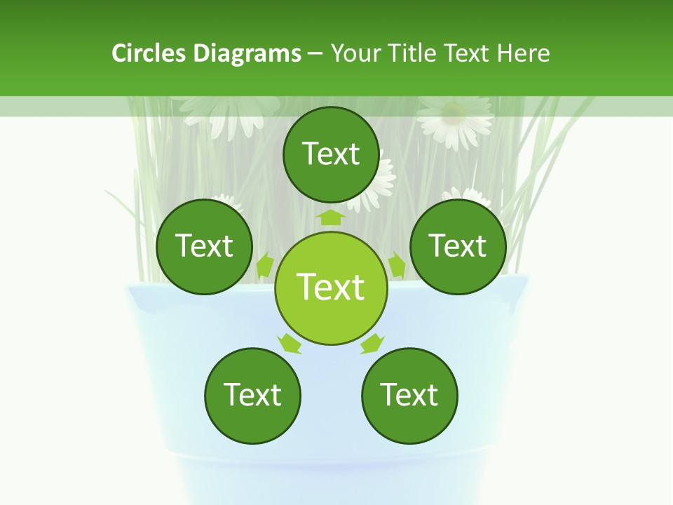 Garden Daisy Potted PowerPoint Template