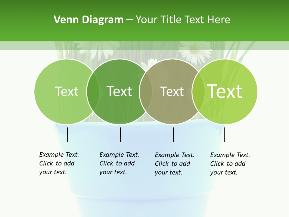Garden Daisy Potted PowerPoint Template