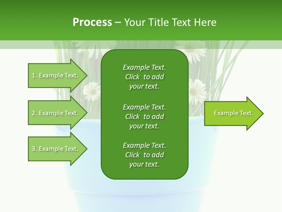 Garden Daisy Potted PowerPoint Template