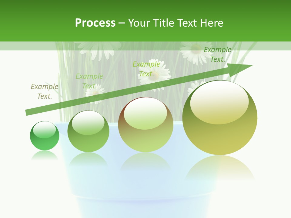 Garden Daisy Potted PowerPoint Template