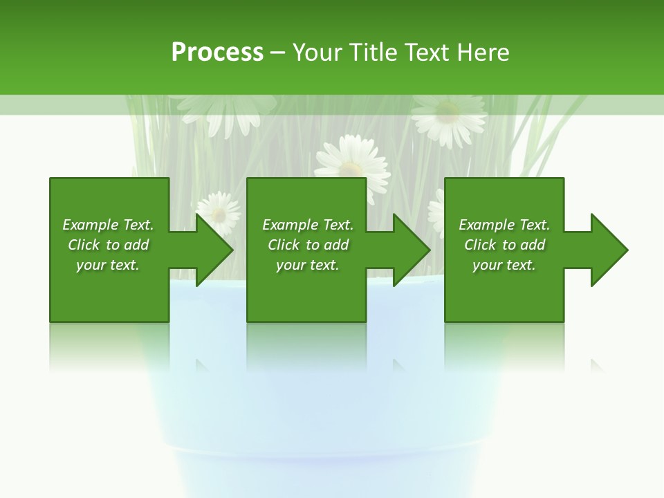 Garden Daisy Potted PowerPoint Template
