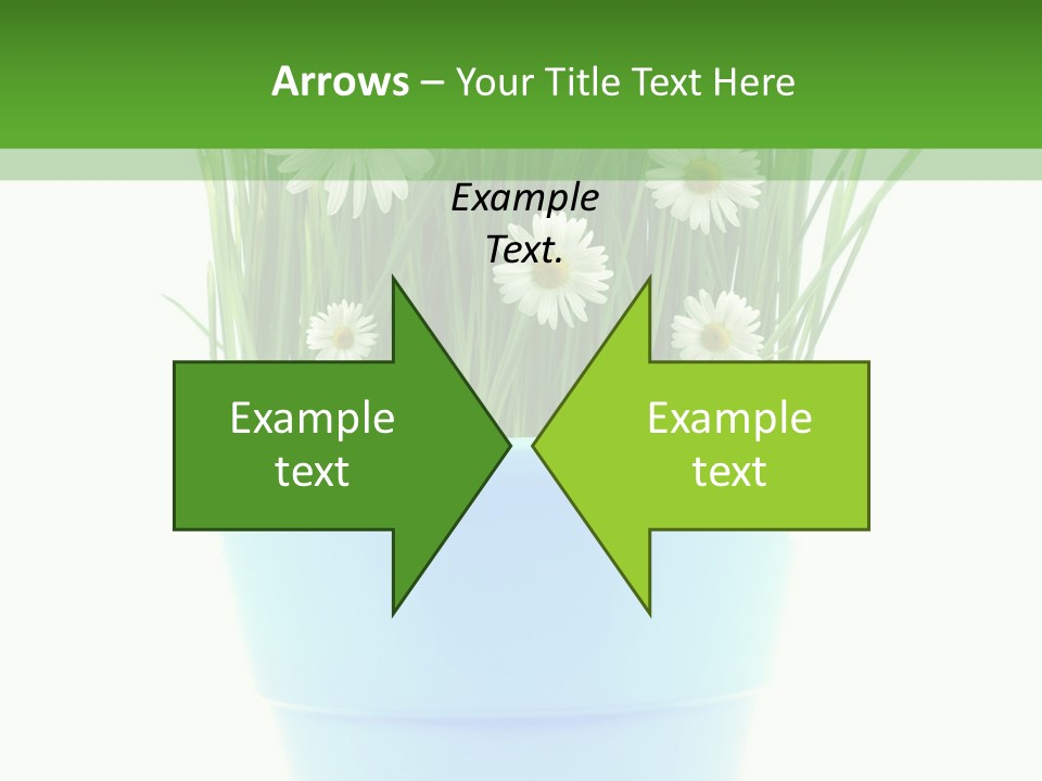 Garden Daisy Potted PowerPoint Template