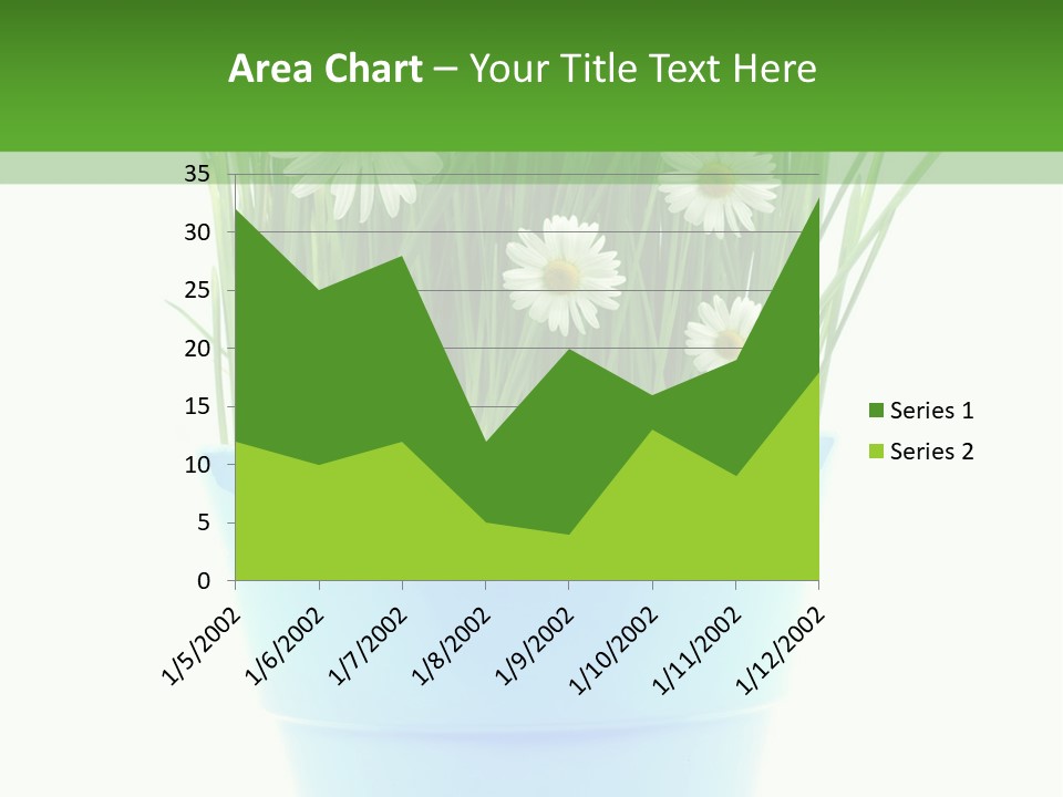 Garden Daisy Potted PowerPoint Template