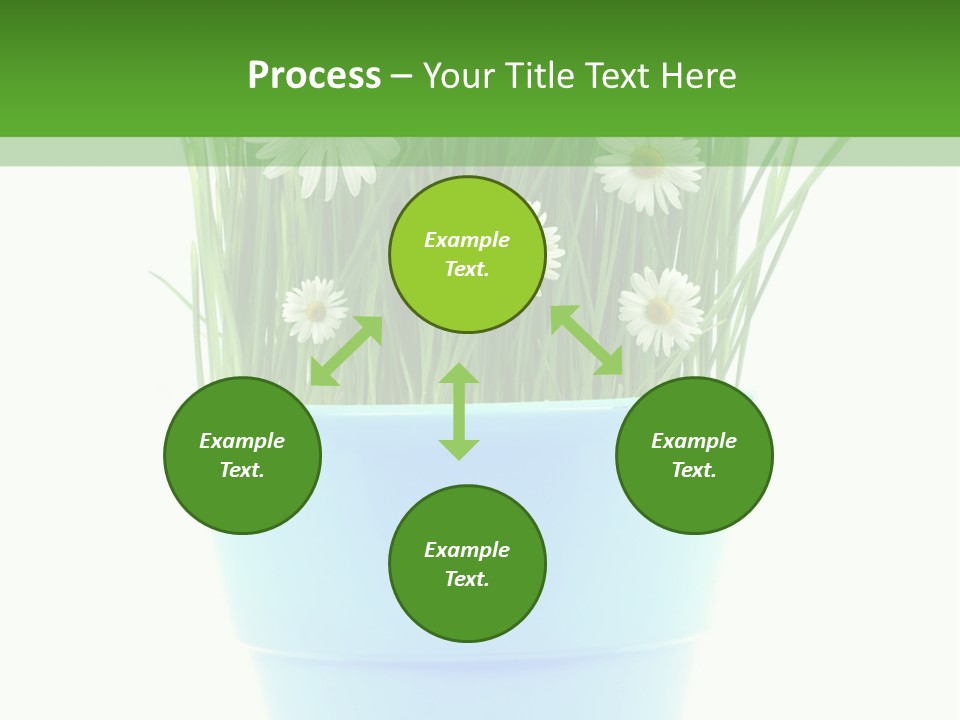 Garden Daisy Potted PowerPoint Template