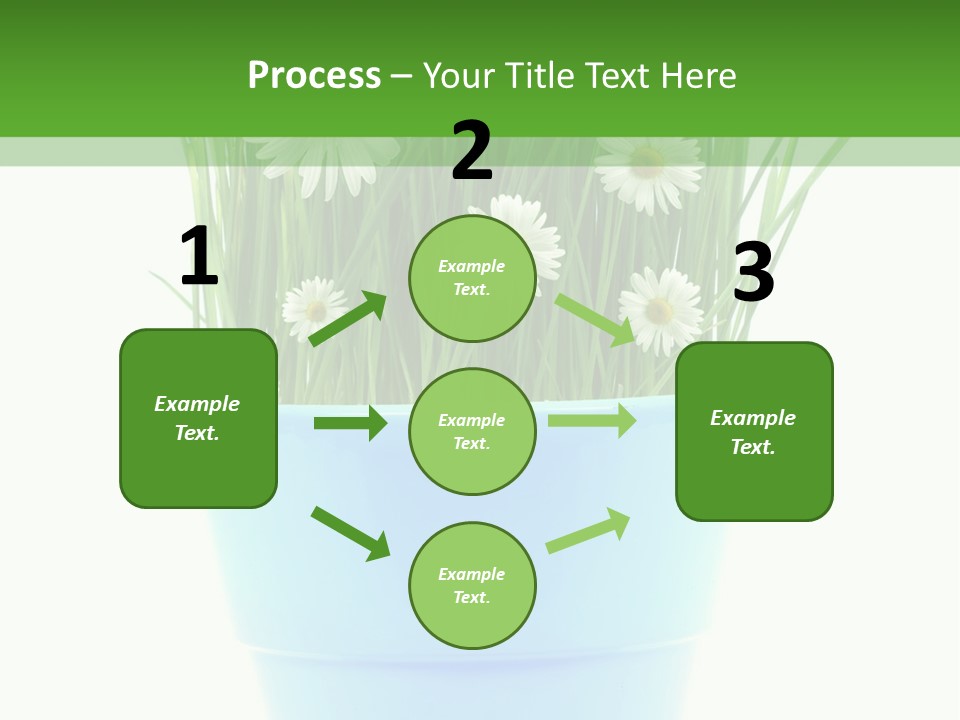 Garden Daisy Potted PowerPoint Template