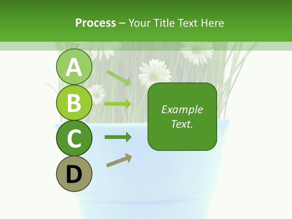 Garden Daisy Potted PowerPoint Template