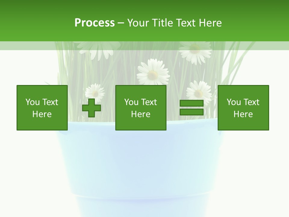 Garden Daisy Potted PowerPoint Template