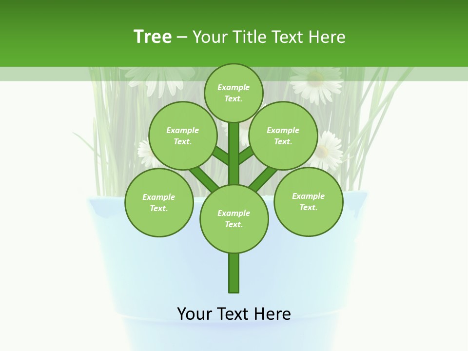 Garden Daisy Potted PowerPoint Template