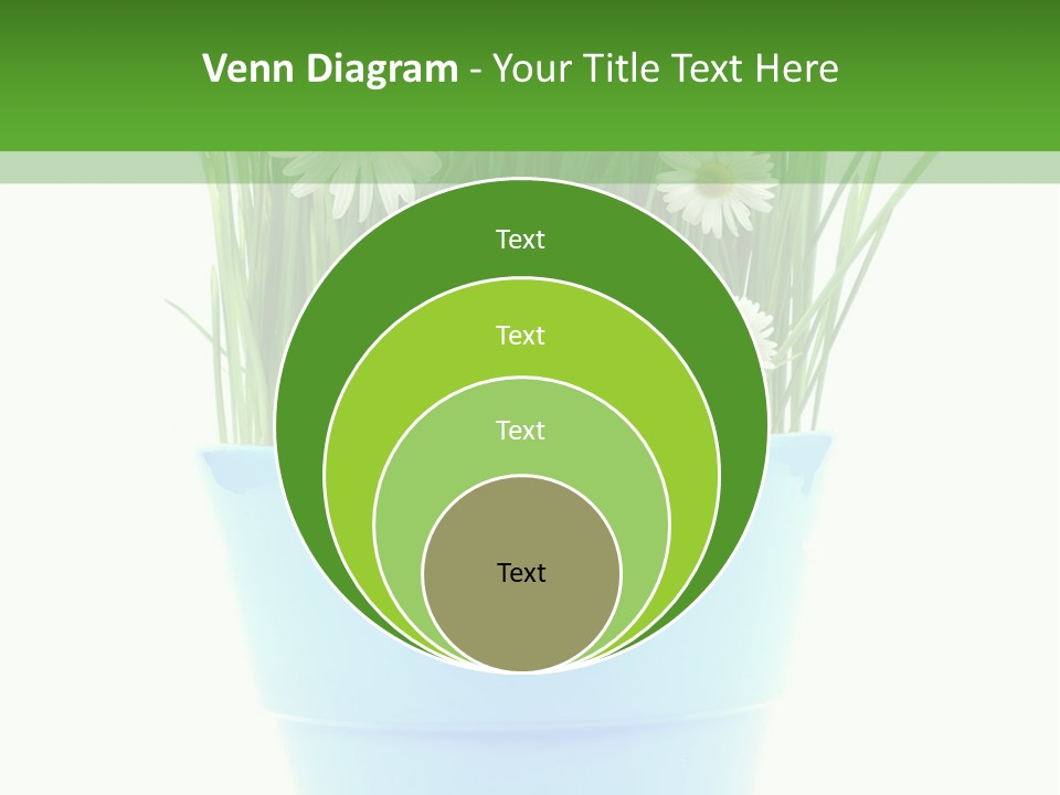 Garden Daisy Potted PowerPoint Template