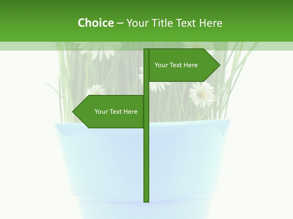 Garden Daisy Potted PowerPoint Template