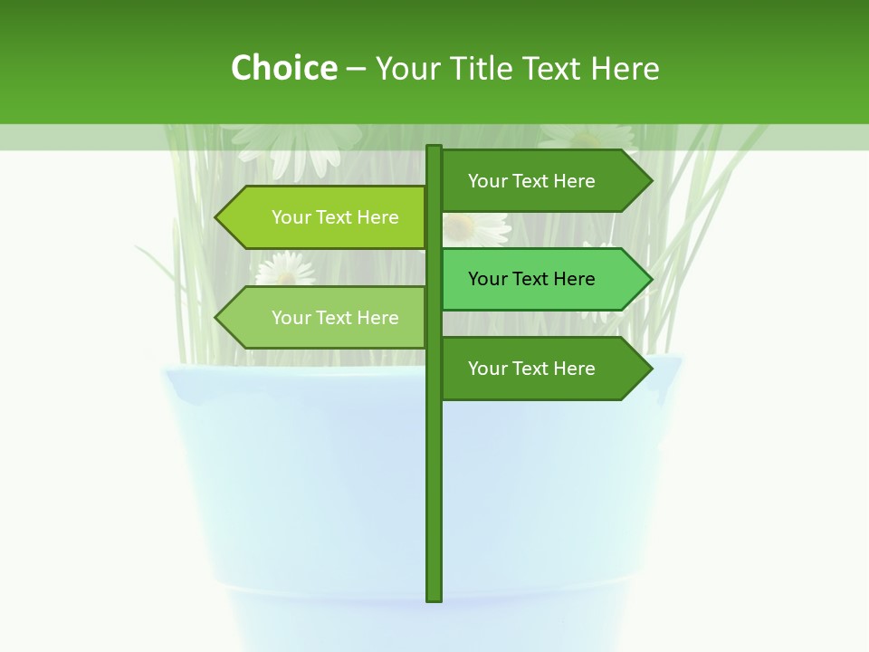 Garden Daisy Potted PowerPoint Template