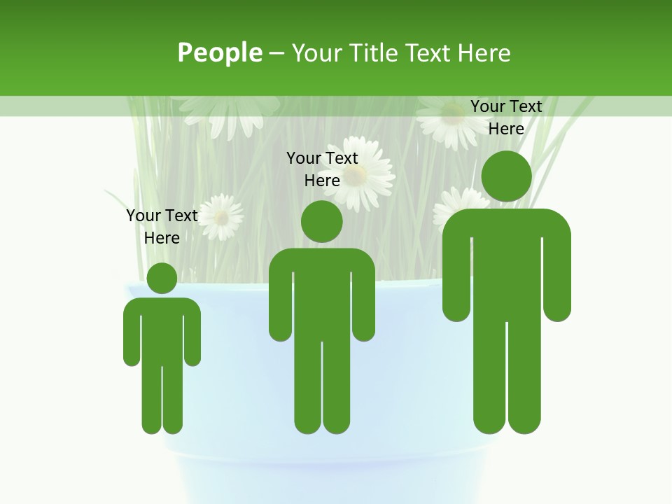 Garden Daisy Potted PowerPoint Template