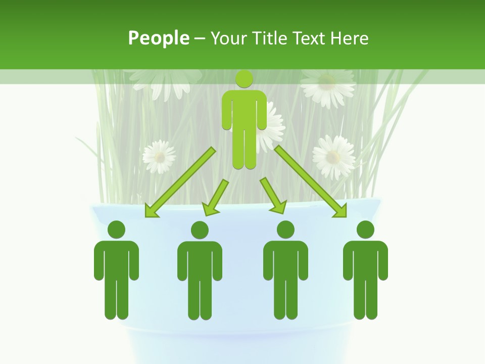 Garden Daisy Potted PowerPoint Template