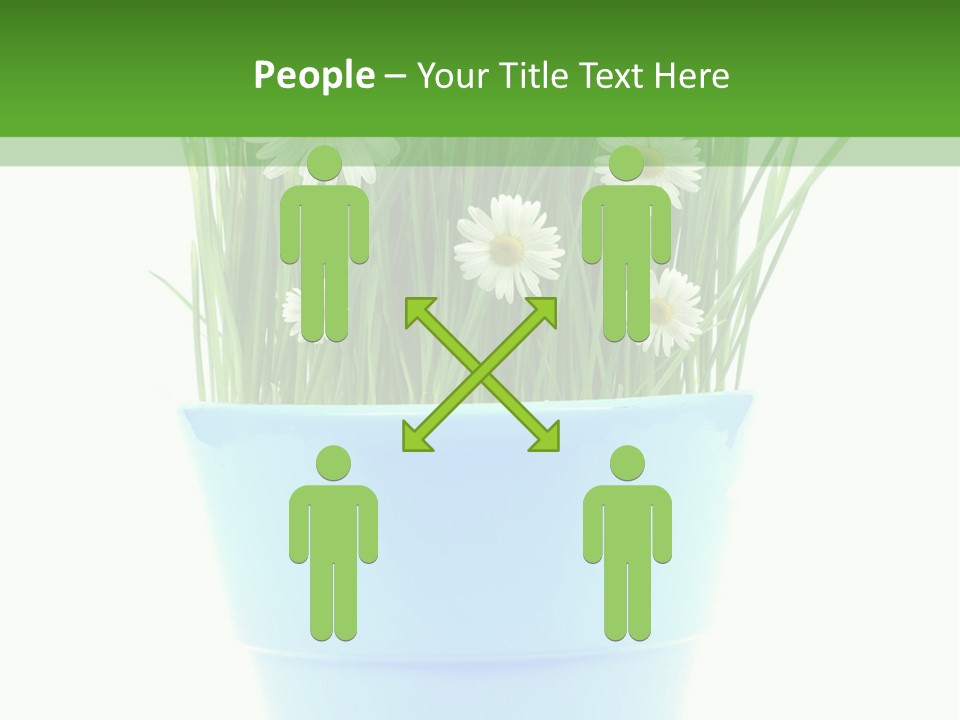 Garden Daisy Potted PowerPoint Template