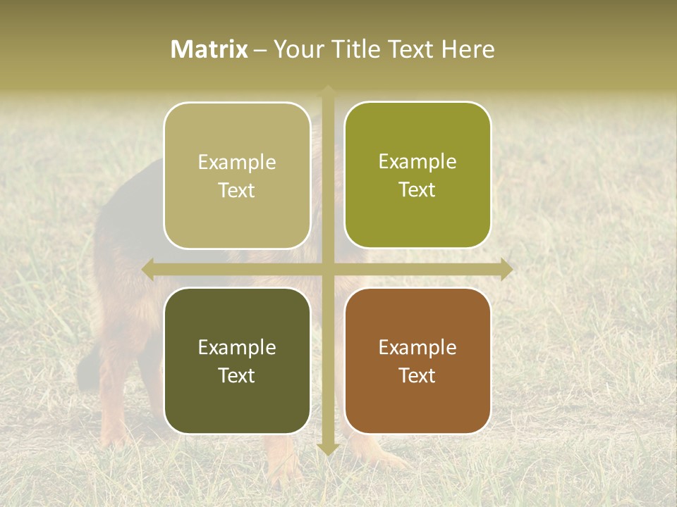 Friend Pose Wood PowerPoint Template