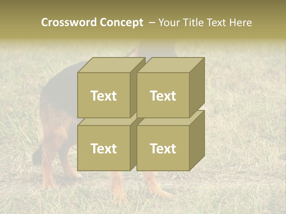 Friend Pose Wood PowerPoint Template