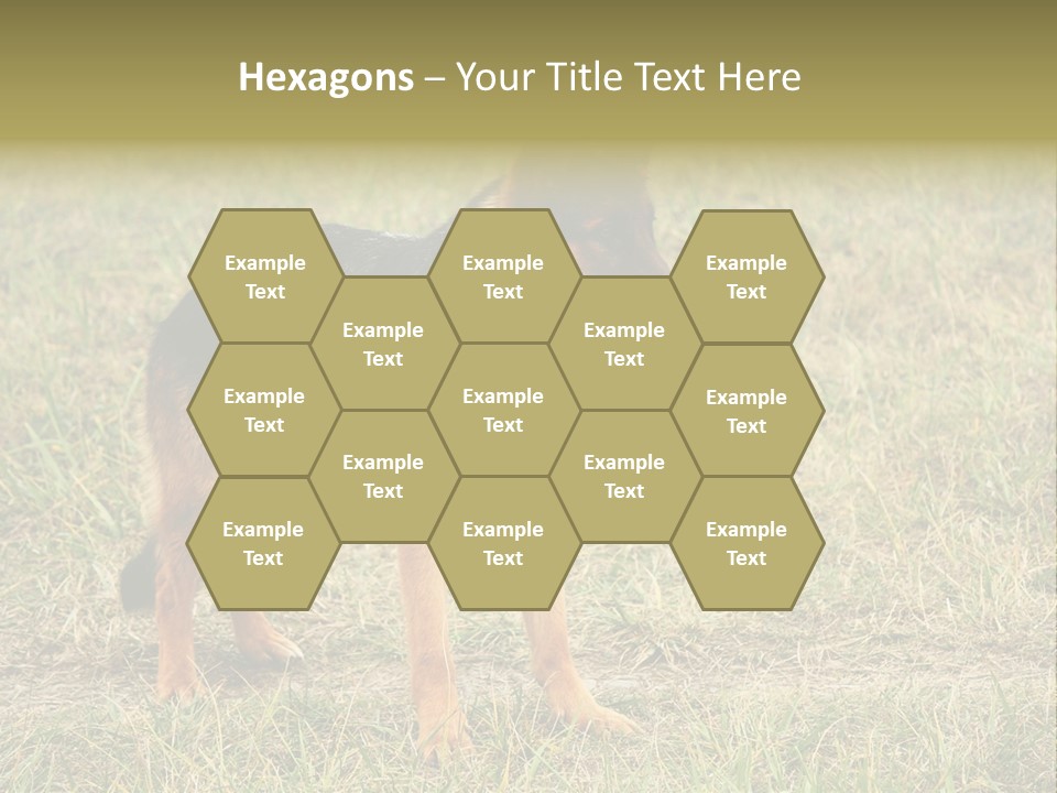 Friend Pose Wood PowerPoint Template