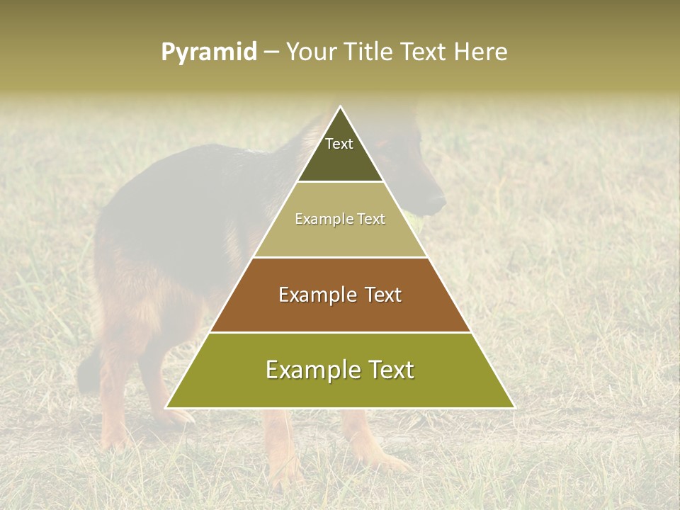 Friend Pose Wood PowerPoint Template