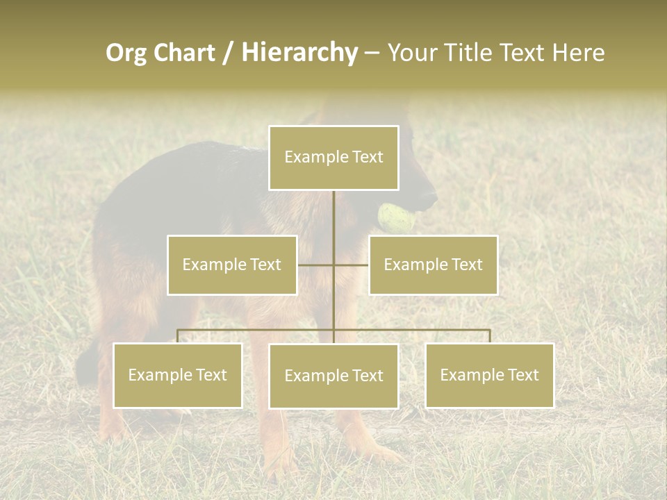 Friend Pose Wood PowerPoint Template