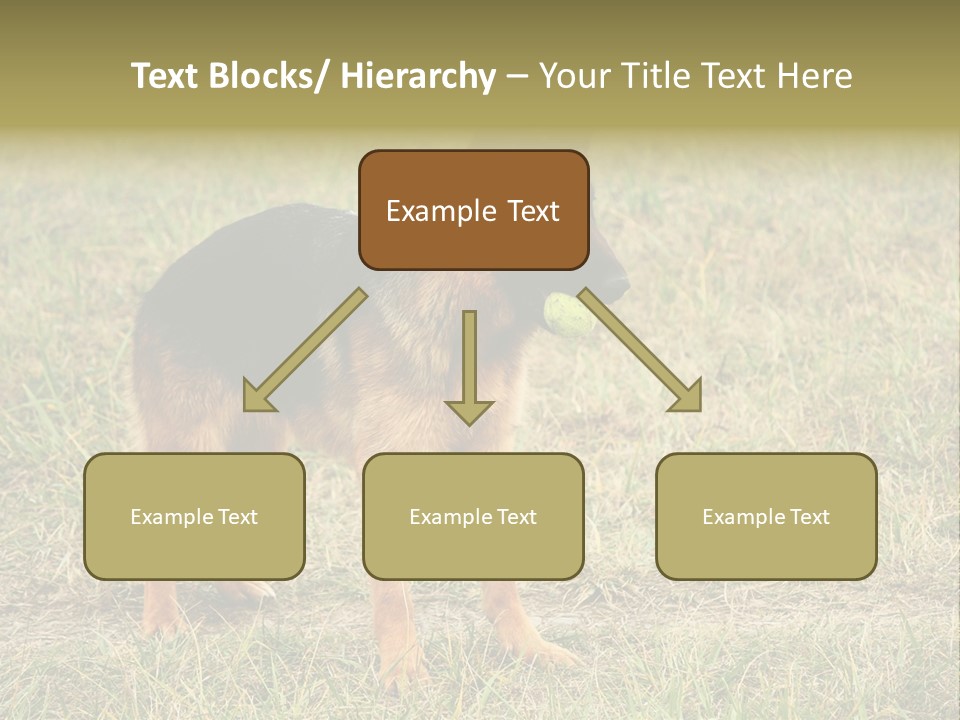 Friend Pose Wood PowerPoint Template