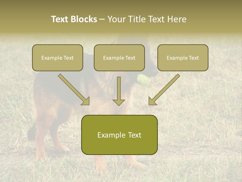 Friend Pose Wood PowerPoint Template