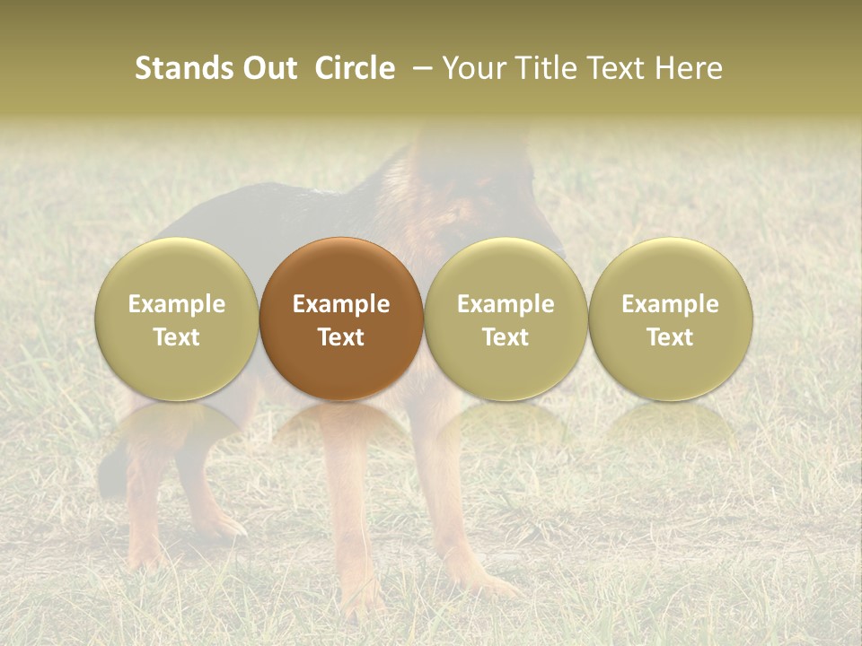 Friend Pose Wood PowerPoint Template