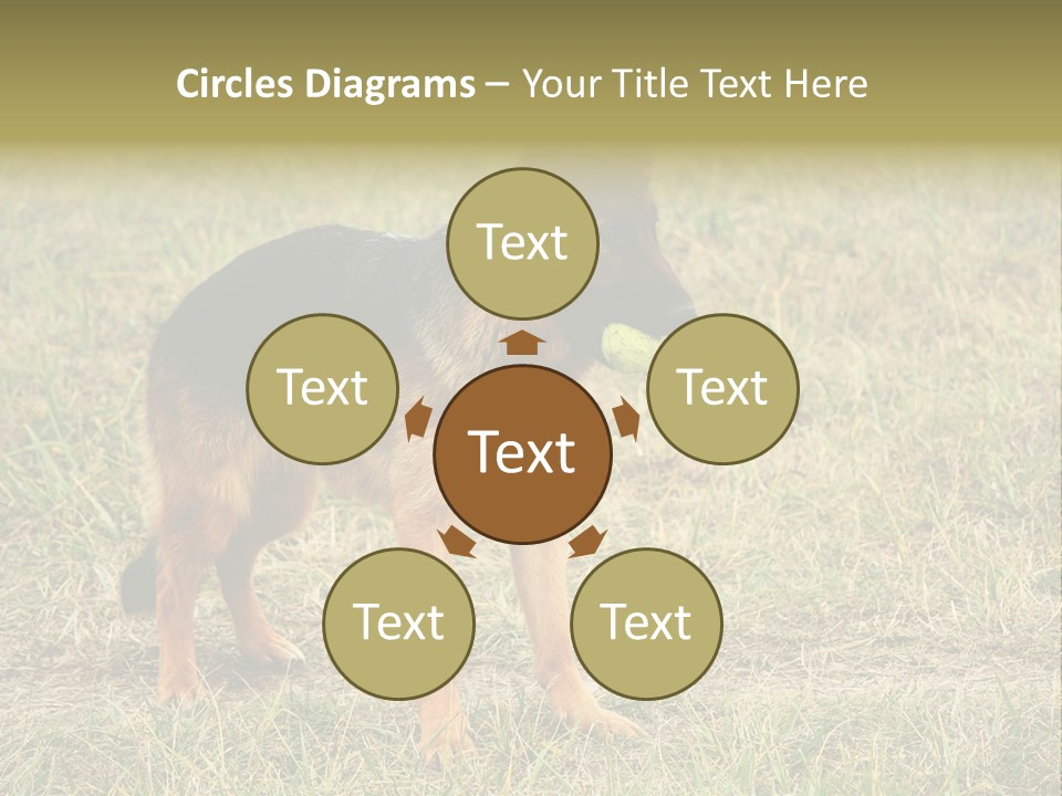 Friend Pose Wood PowerPoint Template