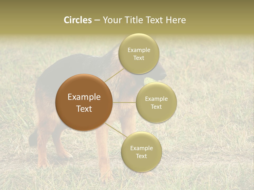 Friend Pose Wood PowerPoint Template