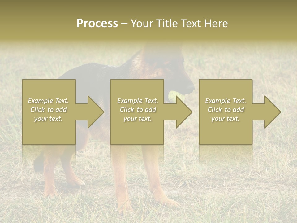 Friend Pose Wood PowerPoint Template