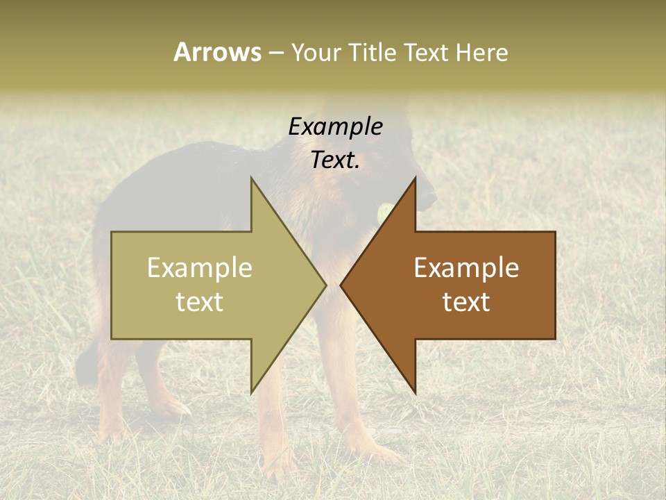 Friend Pose Wood PowerPoint Template