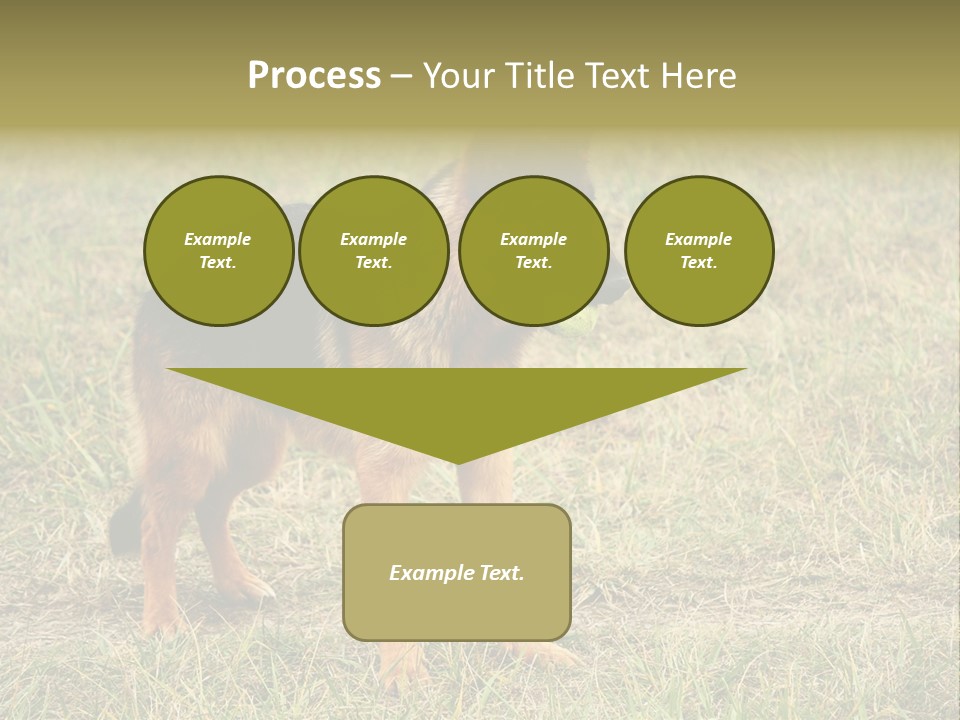 Friend Pose Wood PowerPoint Template