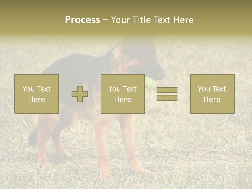 Friend Pose Wood PowerPoint Template
