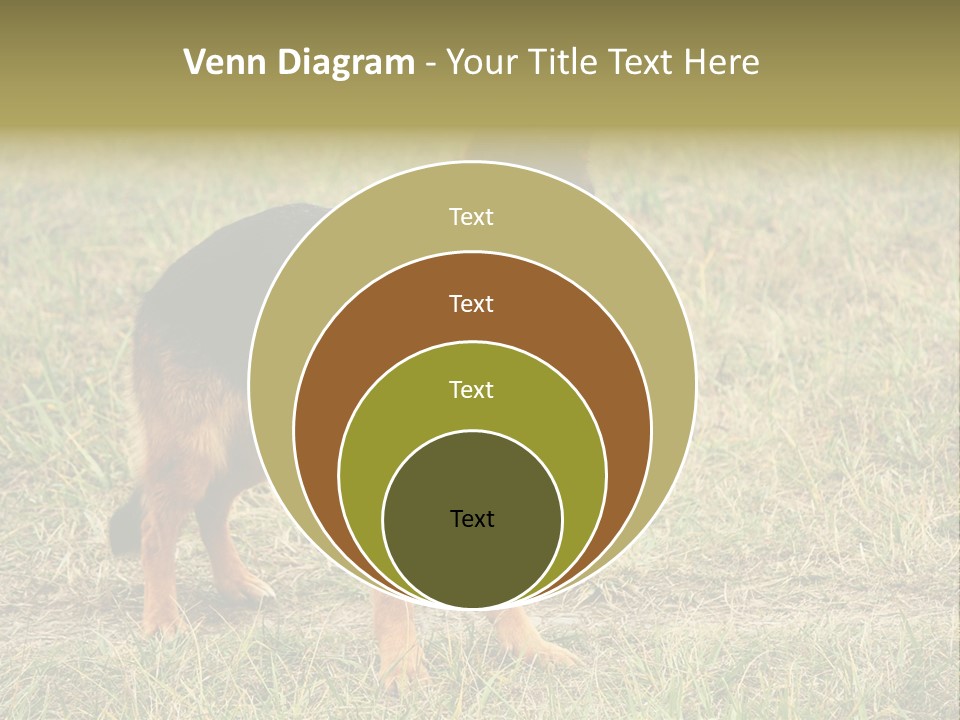 Friend Pose Wood PowerPoint Template