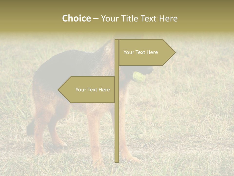 Friend Pose Wood PowerPoint Template