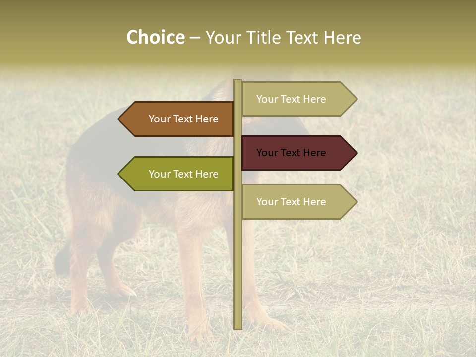 Friend Pose Wood PowerPoint Template