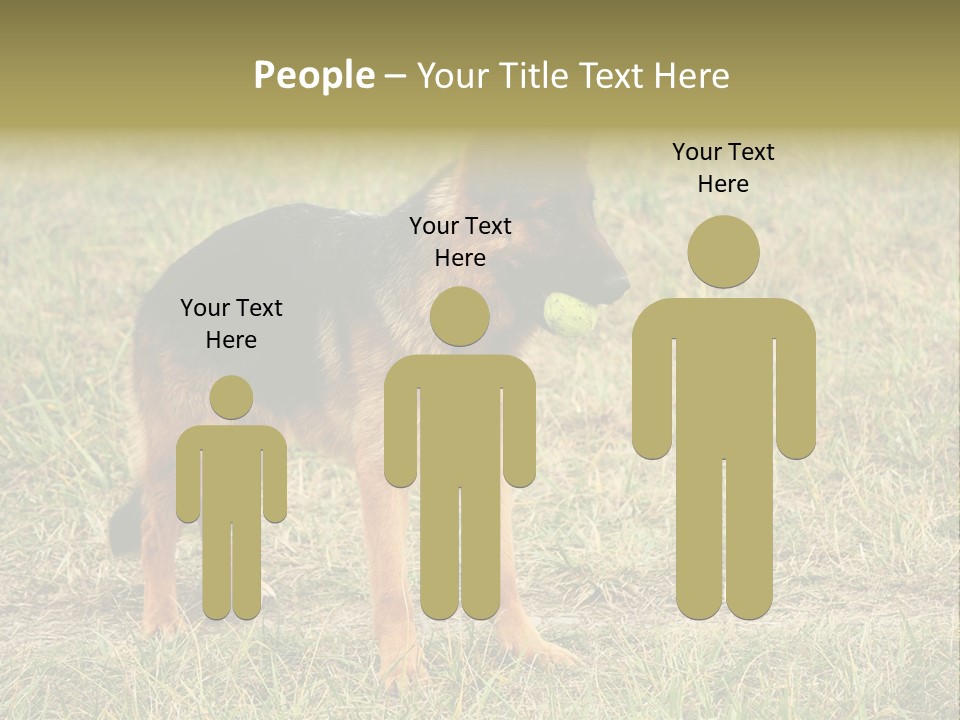 Friend Pose Wood PowerPoint Template