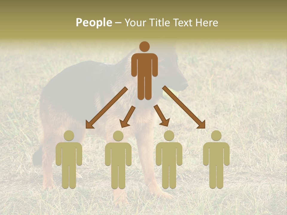 Friend Pose Wood PowerPoint Template