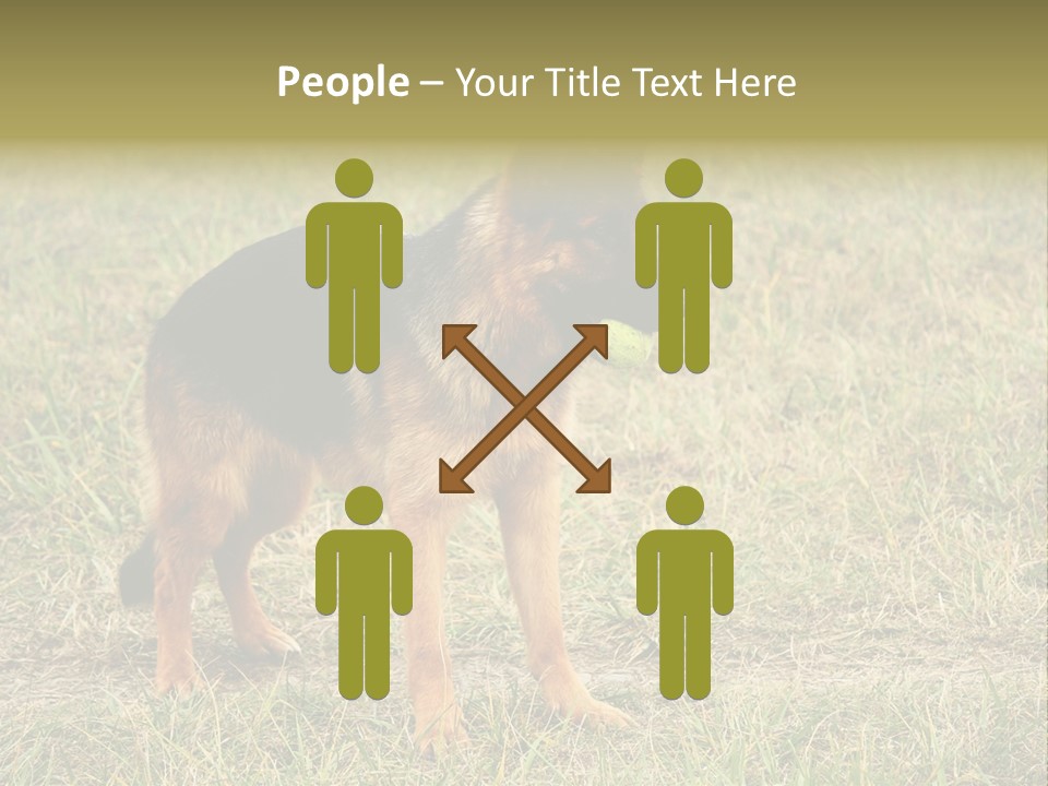 Friend Pose Wood PowerPoint Template