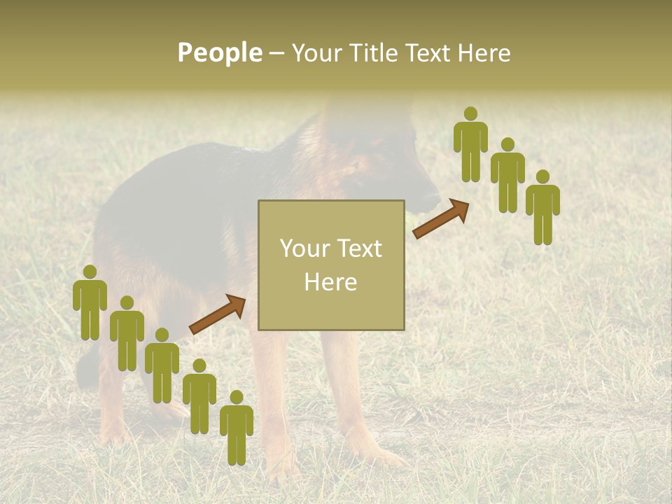 Friend Pose Wood PowerPoint Template