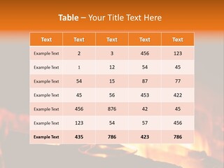 Gas Bonfire Decoration PowerPoint Template