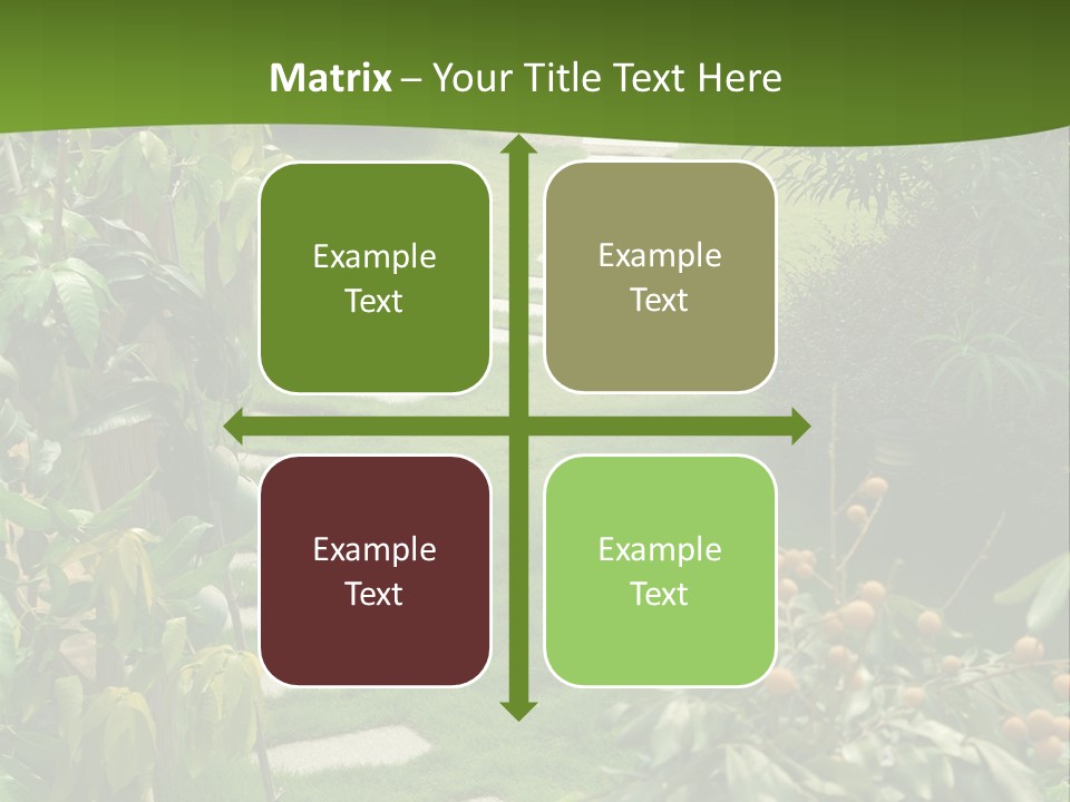 Spiral Droste Male PowerPoint Template