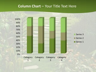 Spiral Droste Male PowerPoint Template