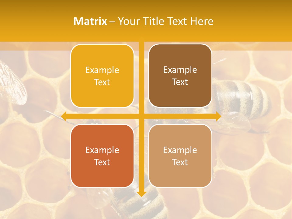 Smart Nonsense Mystery PowerPoint Template