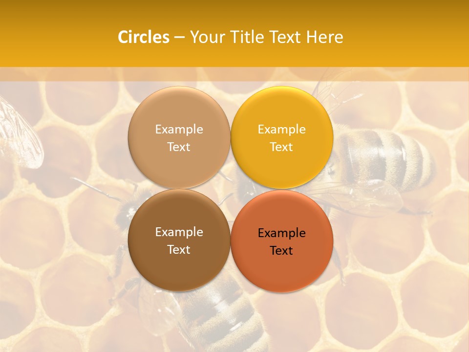 Smart Nonsense Mystery PowerPoint Template