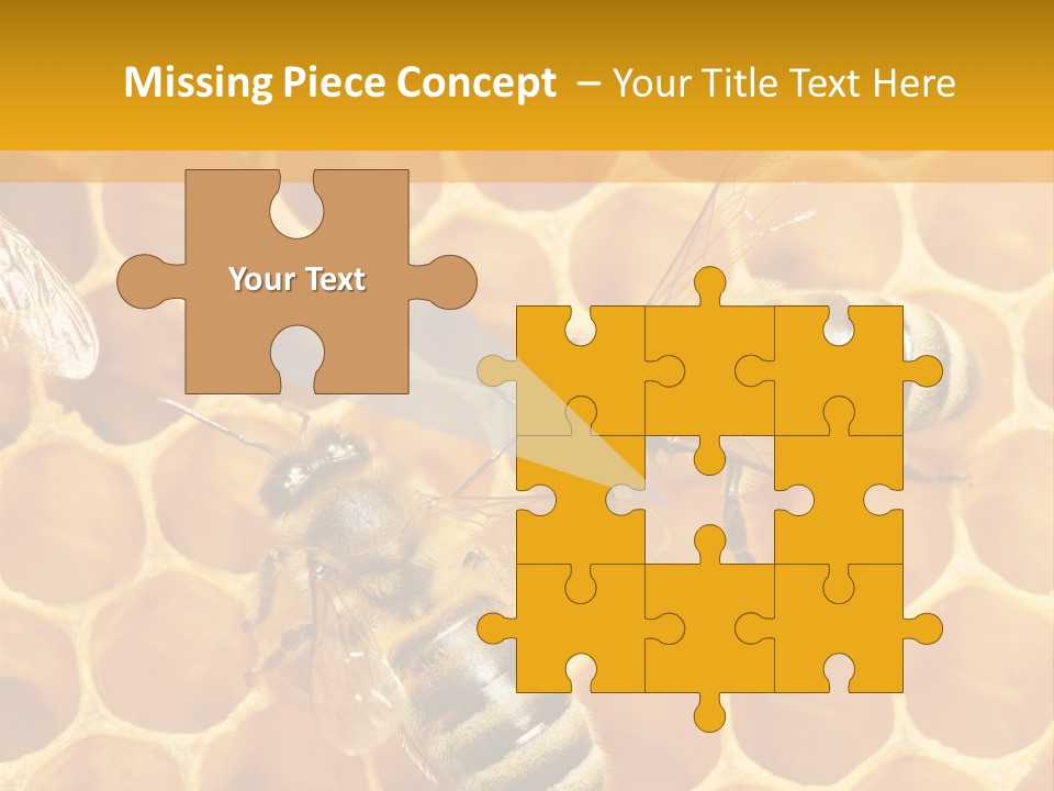 Smart Nonsense Mystery PowerPoint Template