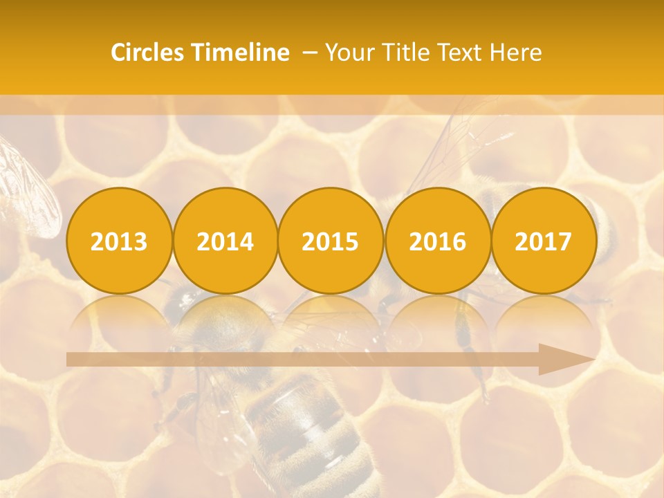 Smart Nonsense Mystery PowerPoint Template