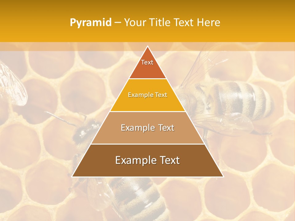 Smart Nonsense Mystery PowerPoint Template