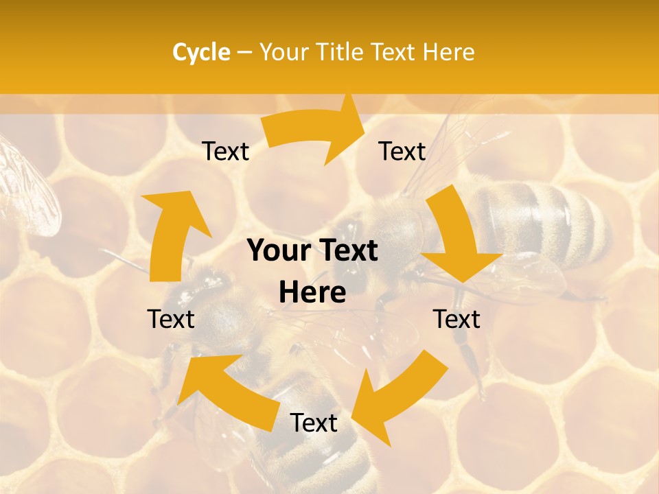 Smart Nonsense Mystery PowerPoint Template