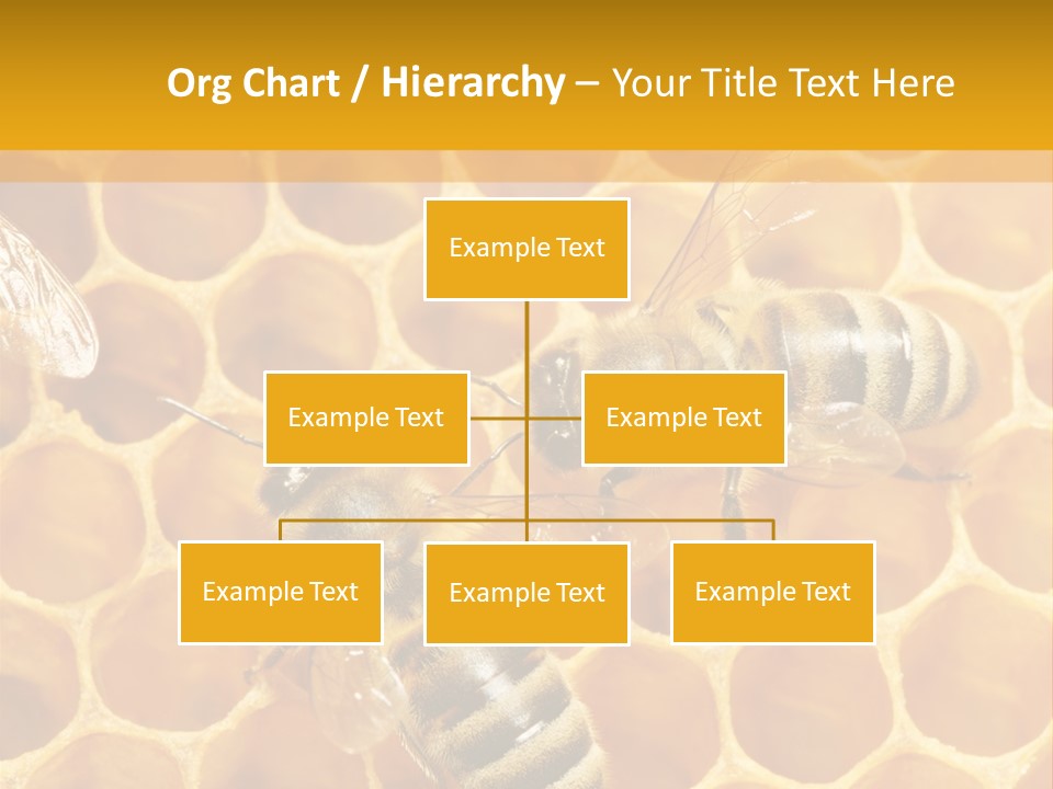 Smart Nonsense Mystery PowerPoint Template